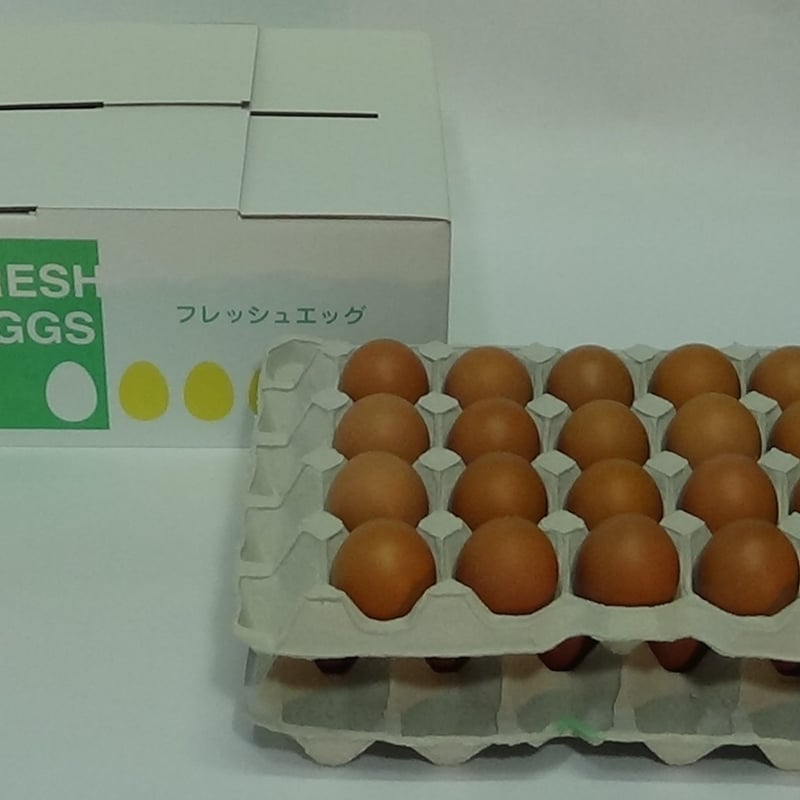 平飼い養鶏卵 60個 | 平飼い養鶏まさとう