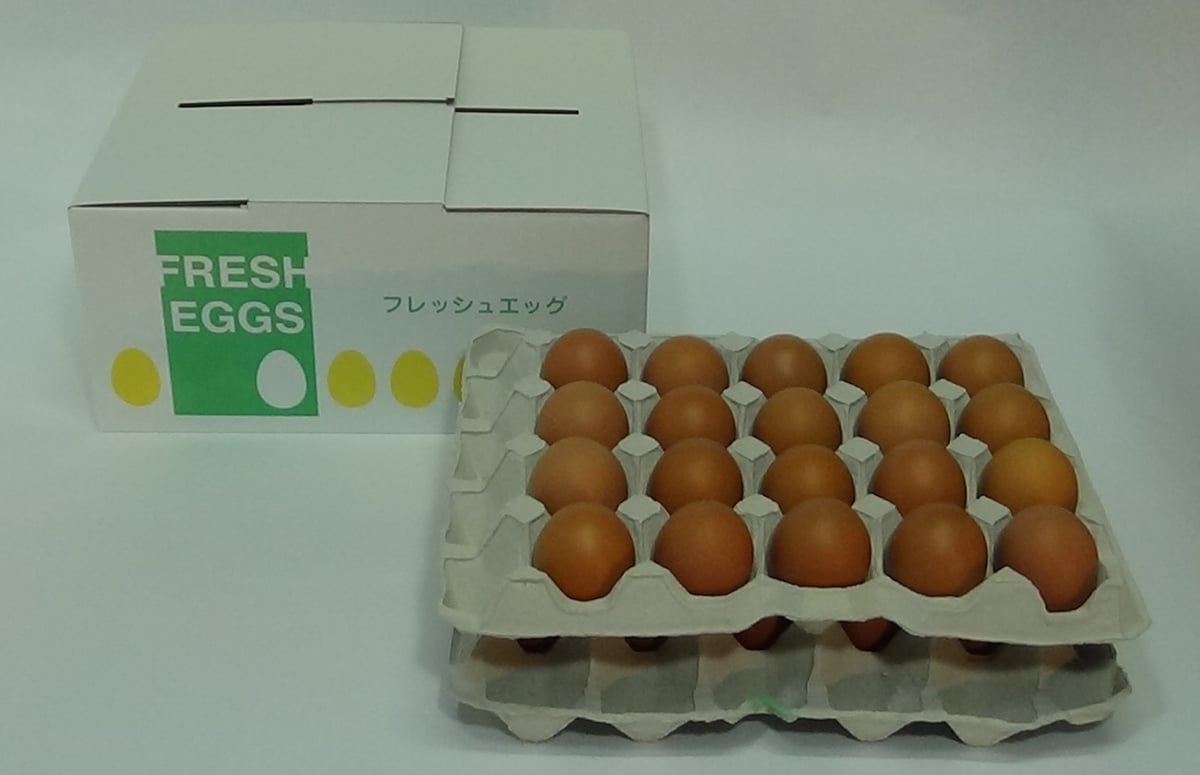 平飼い養鶏卵 60個 | 平飼い養鶏まさとう