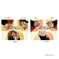 千葉市動物公園レッサーパンダファミリー　ミニサイズひざかけオリジナルブランケット