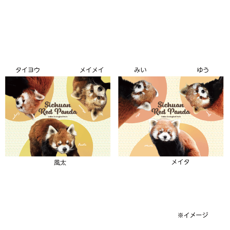 68db9282b5941f11fcfc1ce9