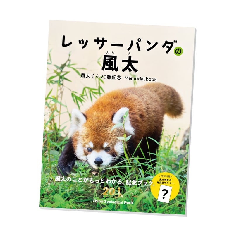 レッサーパンダの風太 風太くん20歳記念 Memorial book | 千葉市動物公園オフィ...