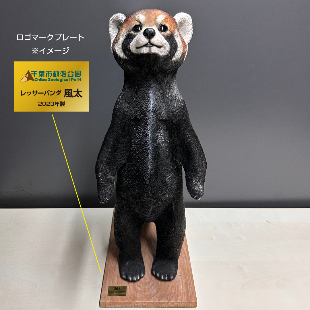千葉市動物公園 レッサーパンダの風太65cmフィギュア