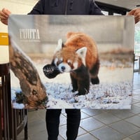 千葉市動物公園　ミニサイズひざかけオリジナルブランケット