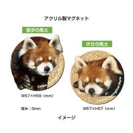 風太22さいおめでとう🍎オリジナルグッズのオンライン販売