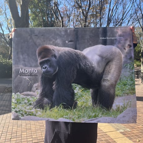 千葉市動物公園　ミニサイズひざかけオリジナルブランケット