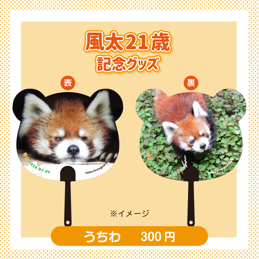 とし様 リクエスト 2点 まとめ商品 レッサーパンダ様 リクエスト