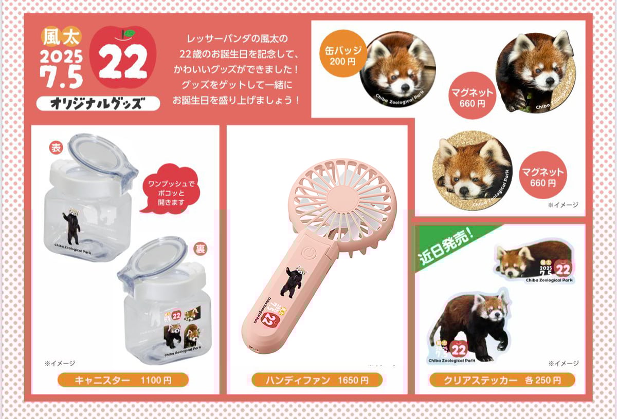 【現品限り】通園通学グッズ　5点セット(レッサーパンダ×黒) 現品限り】通園通学グッズ5点セット(レッサーパンダ×黒)