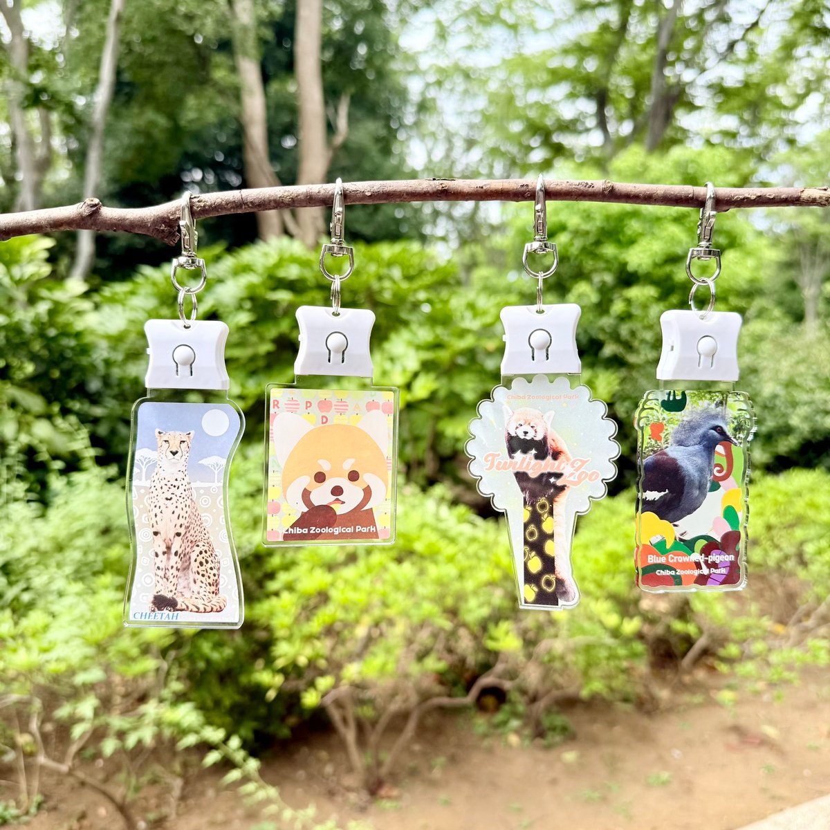 トワイライトZOOオリジナル 光るLEDアクリルキーホルダー | 千葉