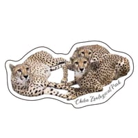 千葉市動物公園オリジナルステッカー  チーター、ハシビロコウ、アジアゾウ