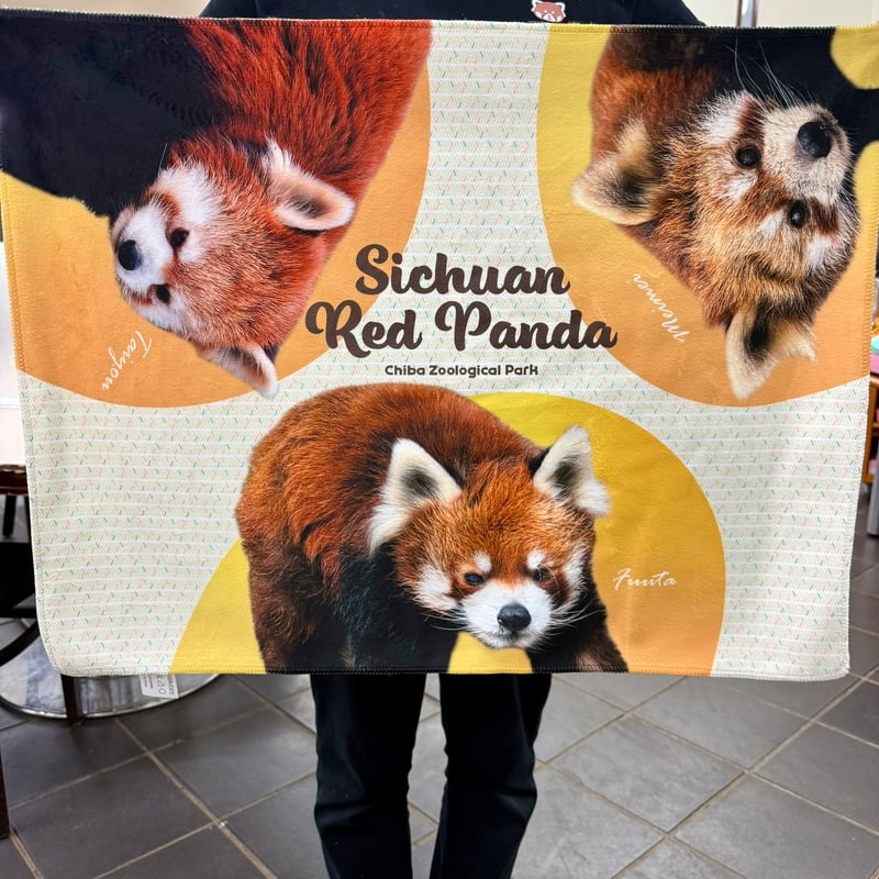 千葉市動物公園レッサーパンダファミリー ミニサイズひざかけ