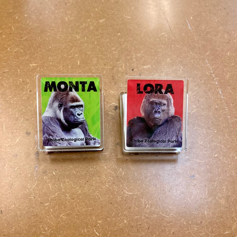 ゴリラの日2024 アクリルクリップ | 千葉市動物公園オフィシャル