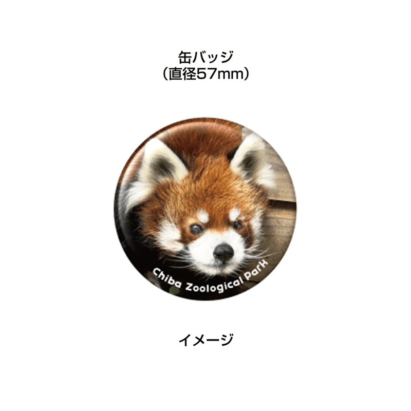 【レッサーパンダ】【2点まとめ】 雨降りを喜んでいる様な、レッサーパンダのモッチー、他