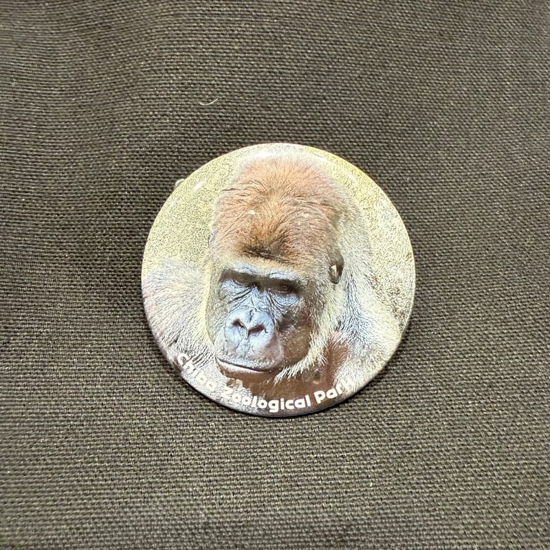 世界ゴリラの日2025 缶バッジ ニシゴリラ「モンタ」 | 千葉市動物公園