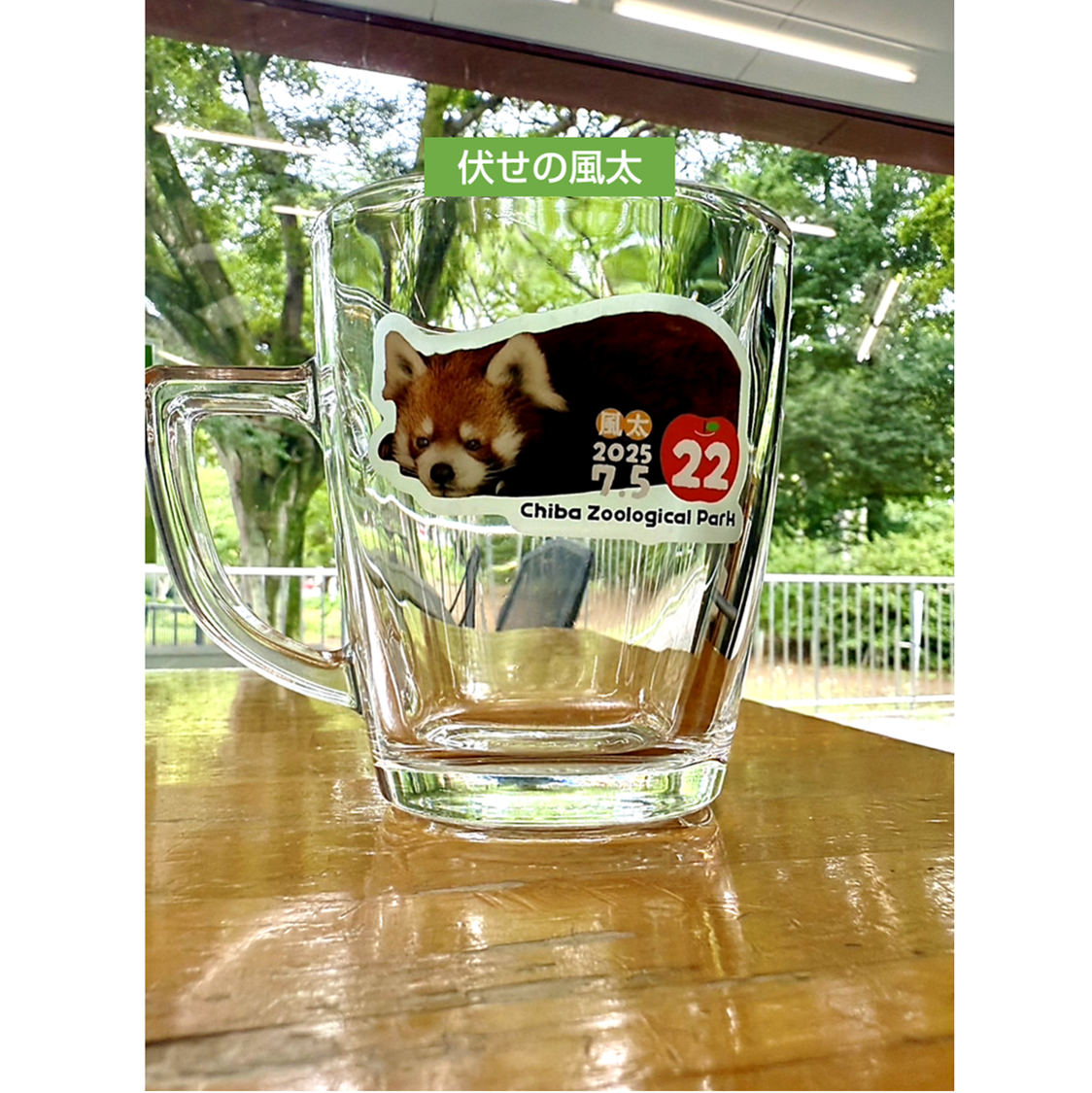 🍎風太22オリジナル🍎クリアステッカー | 千葉市動物公園オフィシャル