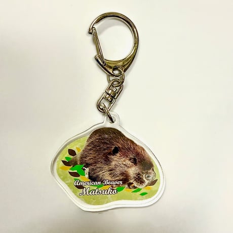 千葉市動物公園オリジナル　アクリルキーホルダー  レッサーパンダ・ハシビロコウ・ショウガラゴ・アメリカビーバー