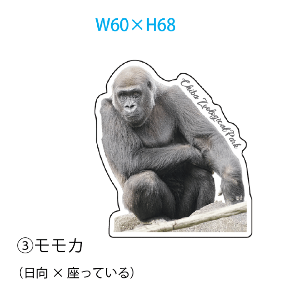 696f0e4615680f096facd444