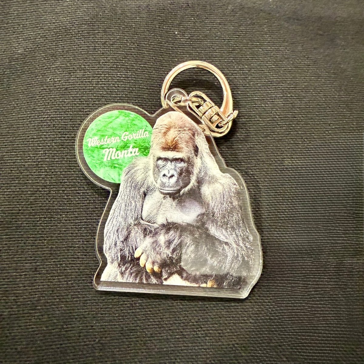 世界ゴリラの日2025 アクリルキーホルダー | 千葉市動物公園