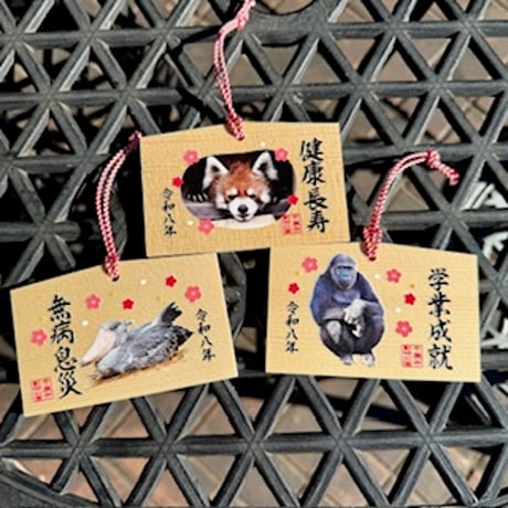 レッサーパンダ | STORES