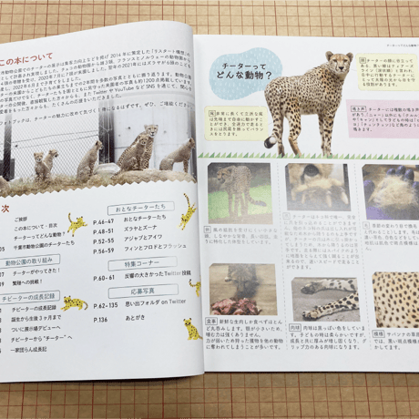 千葉市動物公園オフィシャルフォトブック『チーター 2020-2022 出会い、誕生、そして巣立ち』