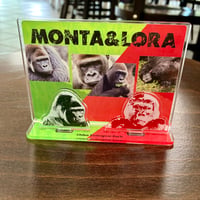 GORILLA ロンT | 千葉市動物公園オフィシャルショップオンラインストア