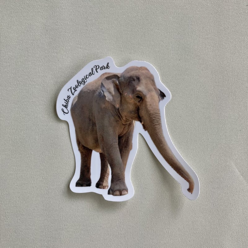 千葉県動物誌 千葉県動物誌 千葉県動物誌(千葉県生物学会 編) / 古本、中古本、