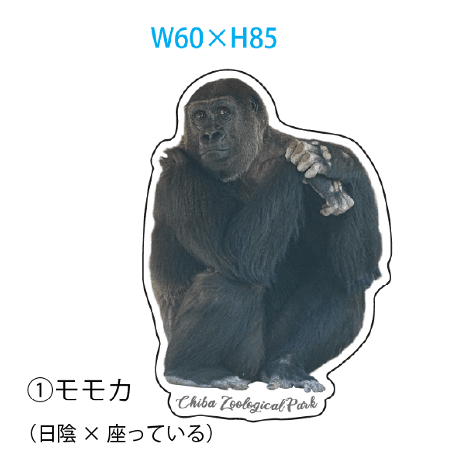 696f0e4615680f096facd444