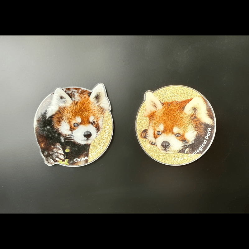 🍎風太22オリジナル🍎マグネット | 千葉市動物公園オフィシャル