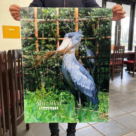 千葉市動物公園　ミニサイズひざかけオリジナルブランケット