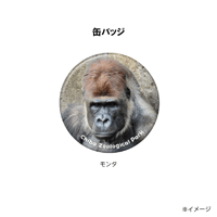 世界ゴリラの日2025　缶バッジ　ニシゴリラ「モンタ」