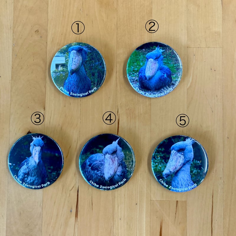 千葉ページ　アグネスタキオン　缶バッジ30個 全種セット】TVアニメ『WIND BREAKER』トレーディング缶バッジ