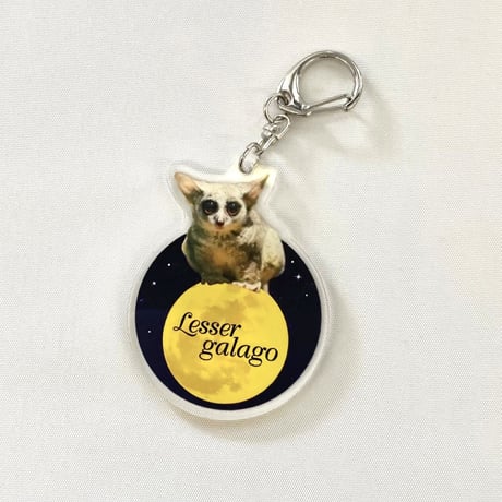 千葉市動物公園オリジナル　アクリルキーホルダー  レッサーパンダ・ハシビロコウ・ショウガラゴ・アメリカビーバー