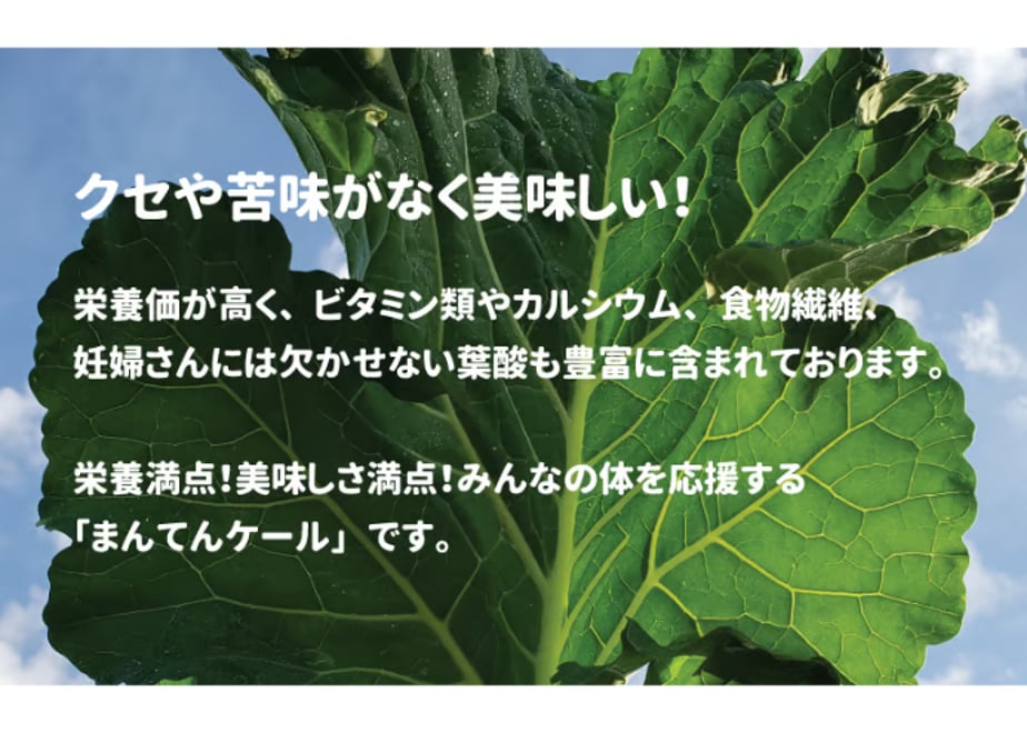 65cce40ae04d45170a8d63a6