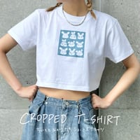 ショート丈Tシャツ