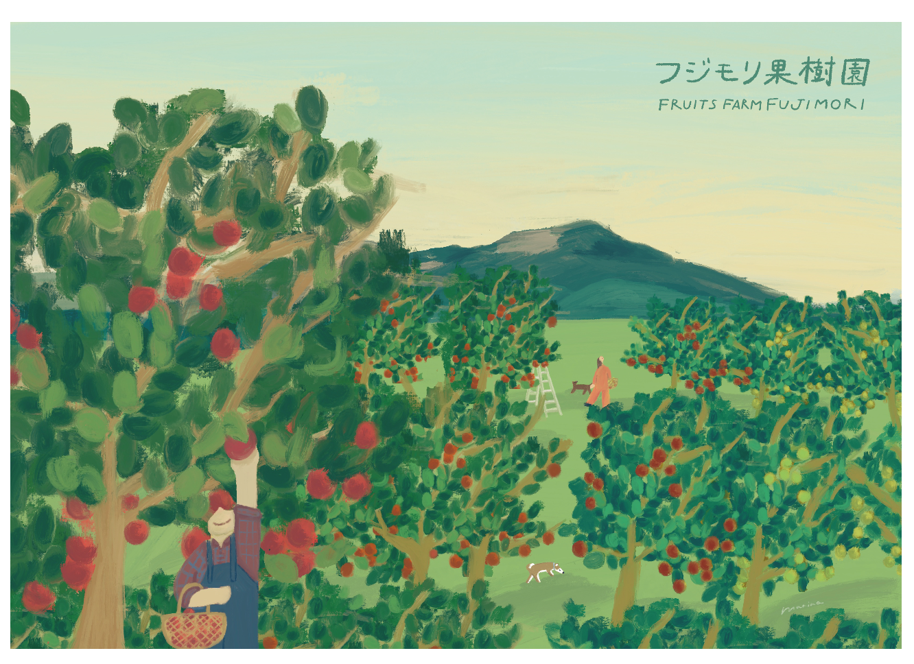 フジモリ果樹園   オンラインショップ