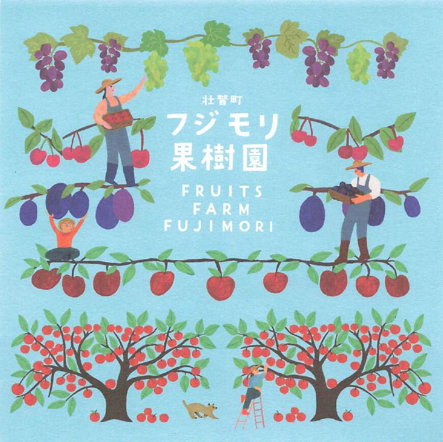 フジモリ果樹園   オンラインショップ