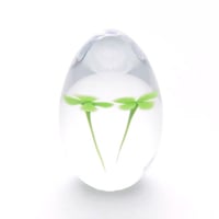 garden | iino naho glass gallery