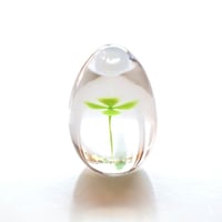 garden | iino naho glass gallery