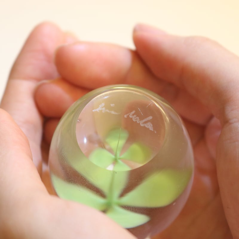 clover | iino naho glass gallery