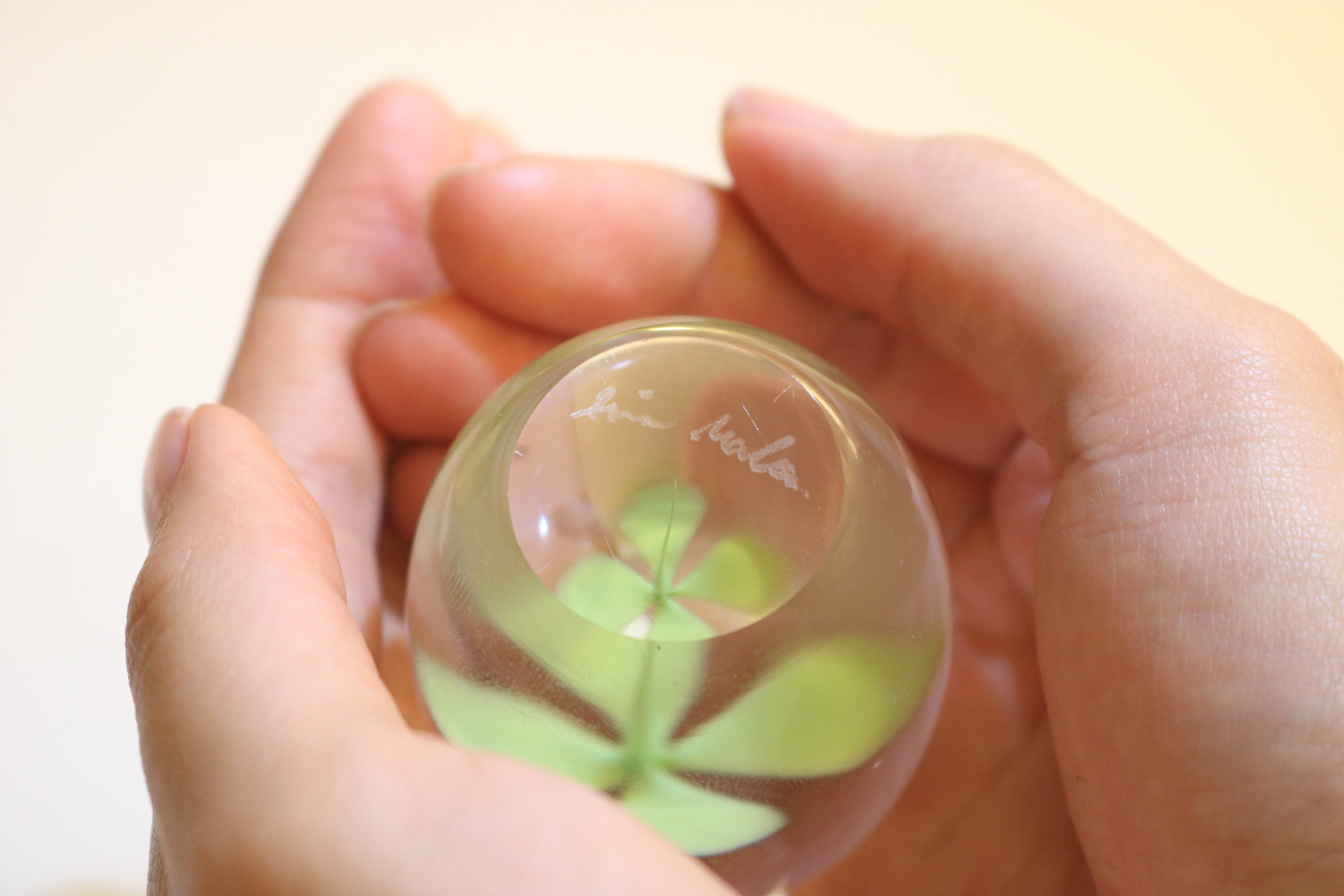 clover | iino naho glass gallery