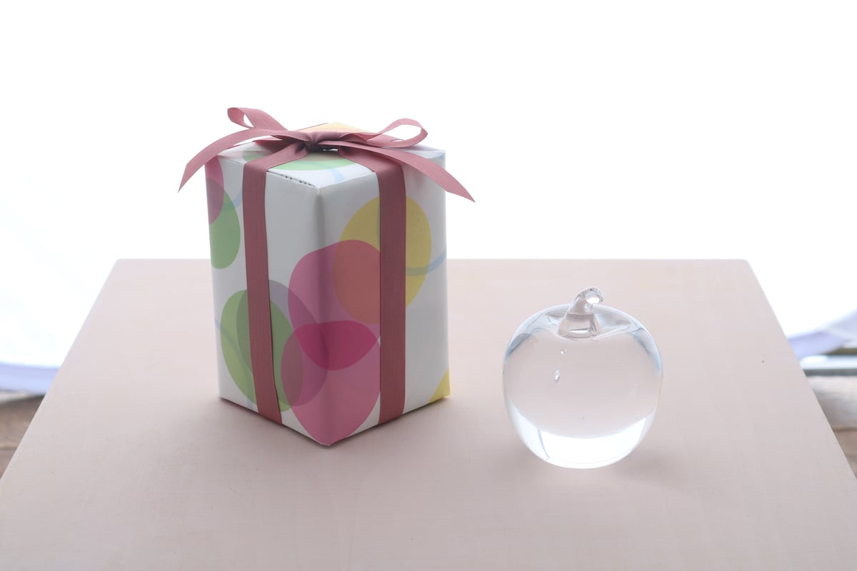 イイノナホ ・ペーパーウェイト hane Apple | iino naho glass gallery