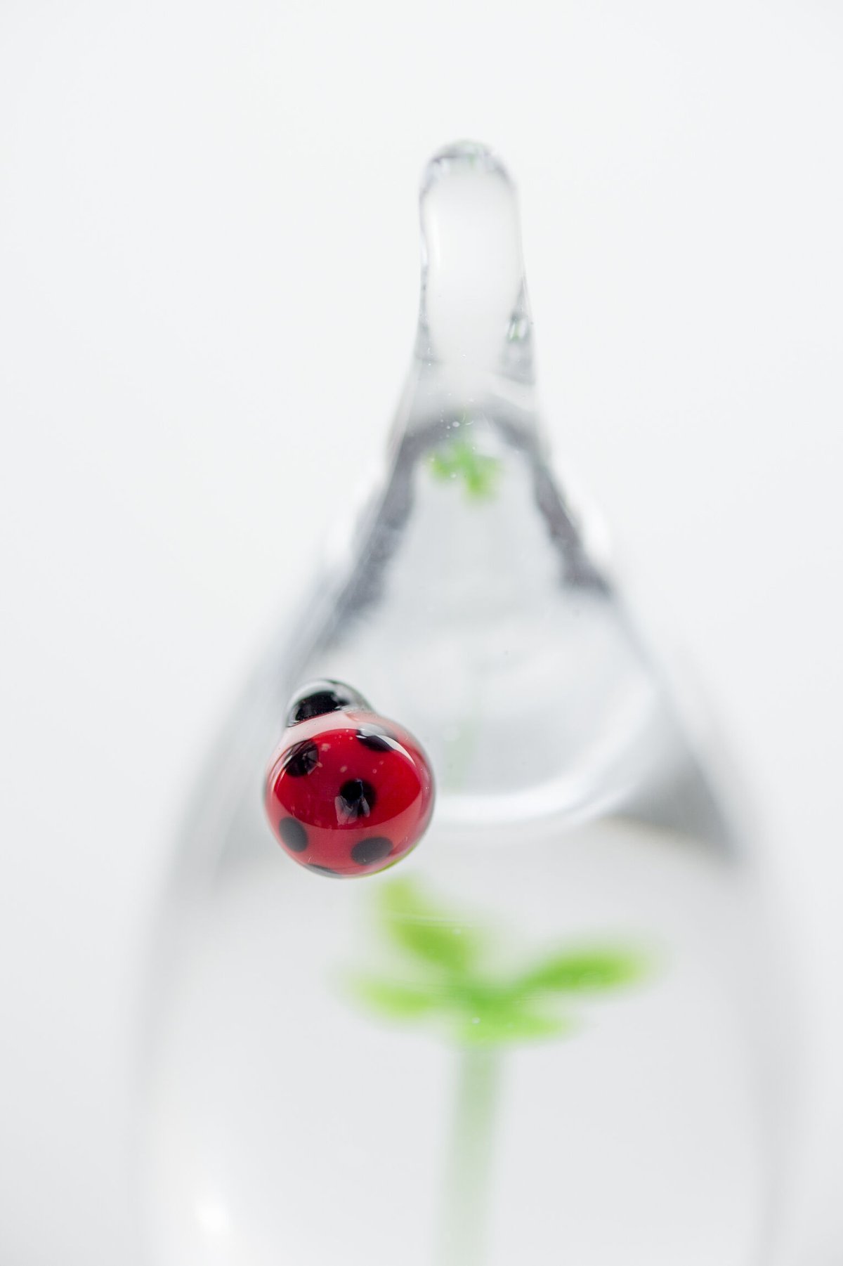 イイノナホ　ペーパーウエイト　クローバー　てんとう虫 garden | iino naho glass gallery
