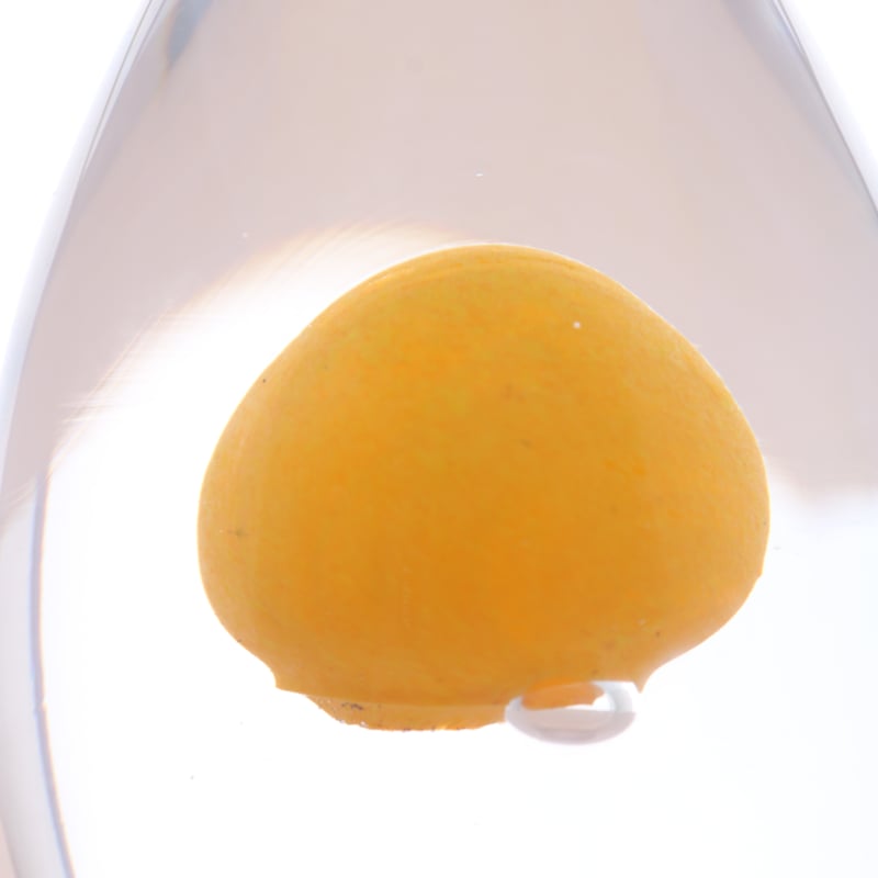 カラノナイタマゴ | iino naho glass gallery