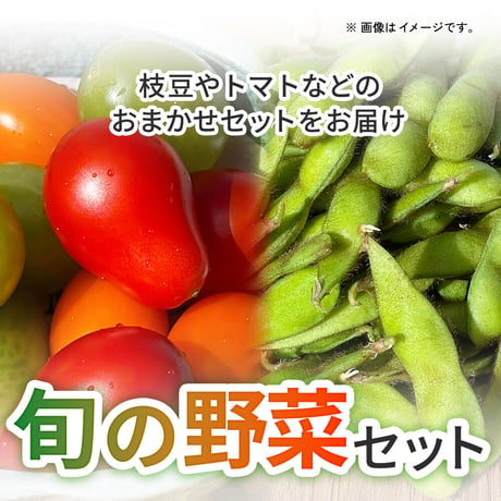 旬の野菜セット　枝豆やトマトなどのおまかせセットをお届け