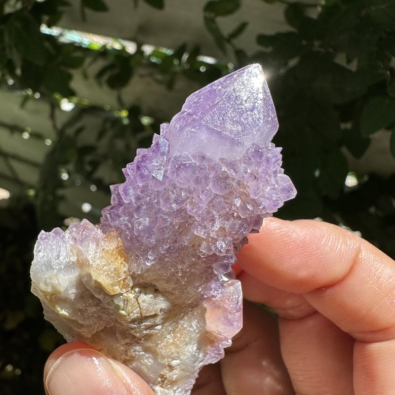 スピリットクォーツ（カクタスクォーツ）No. 1 | Native Stellar Alchemy