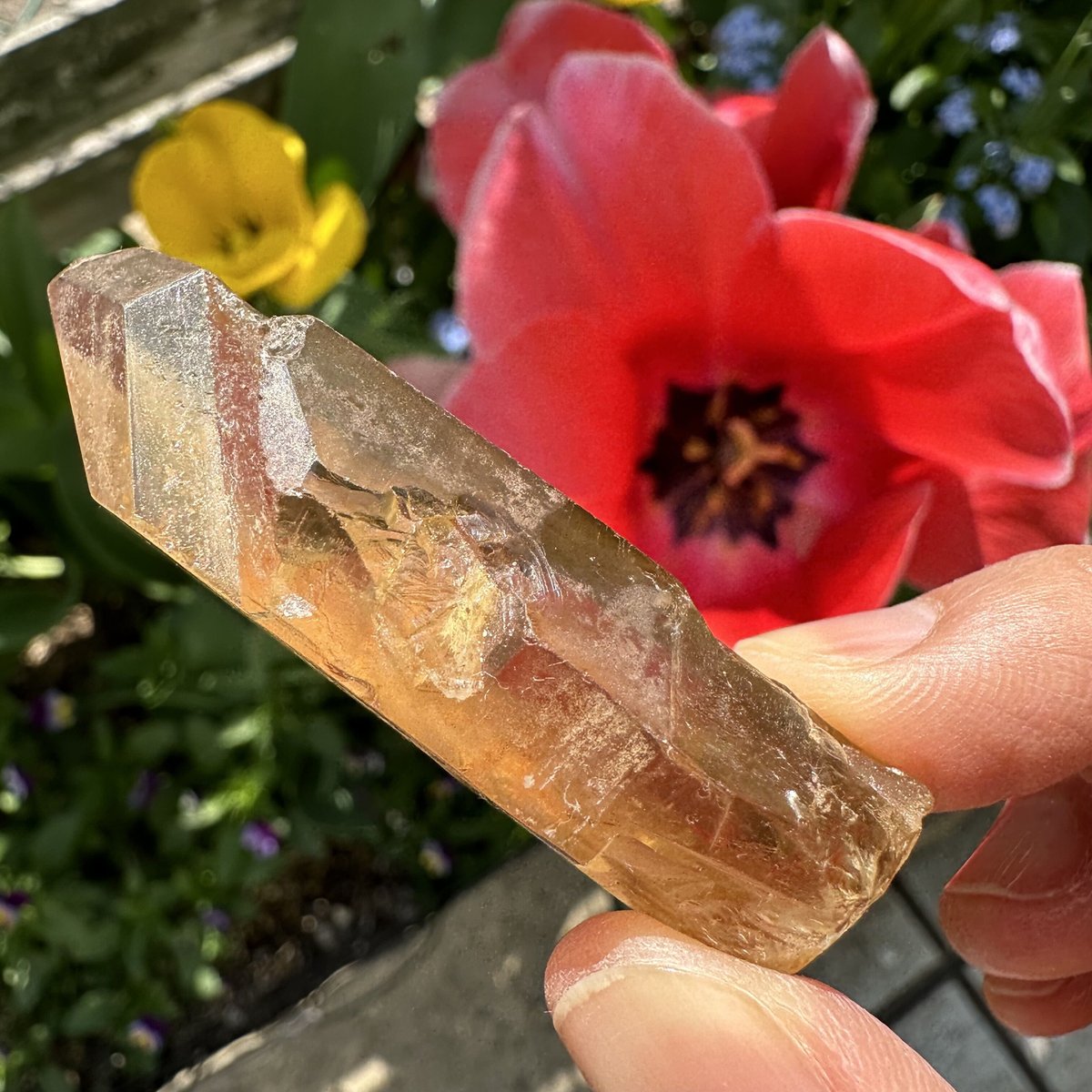 天然シトリン原石ポイント　266g 天然シトリン原石ポイントNo. B-1 | Native Stellar Alchemy