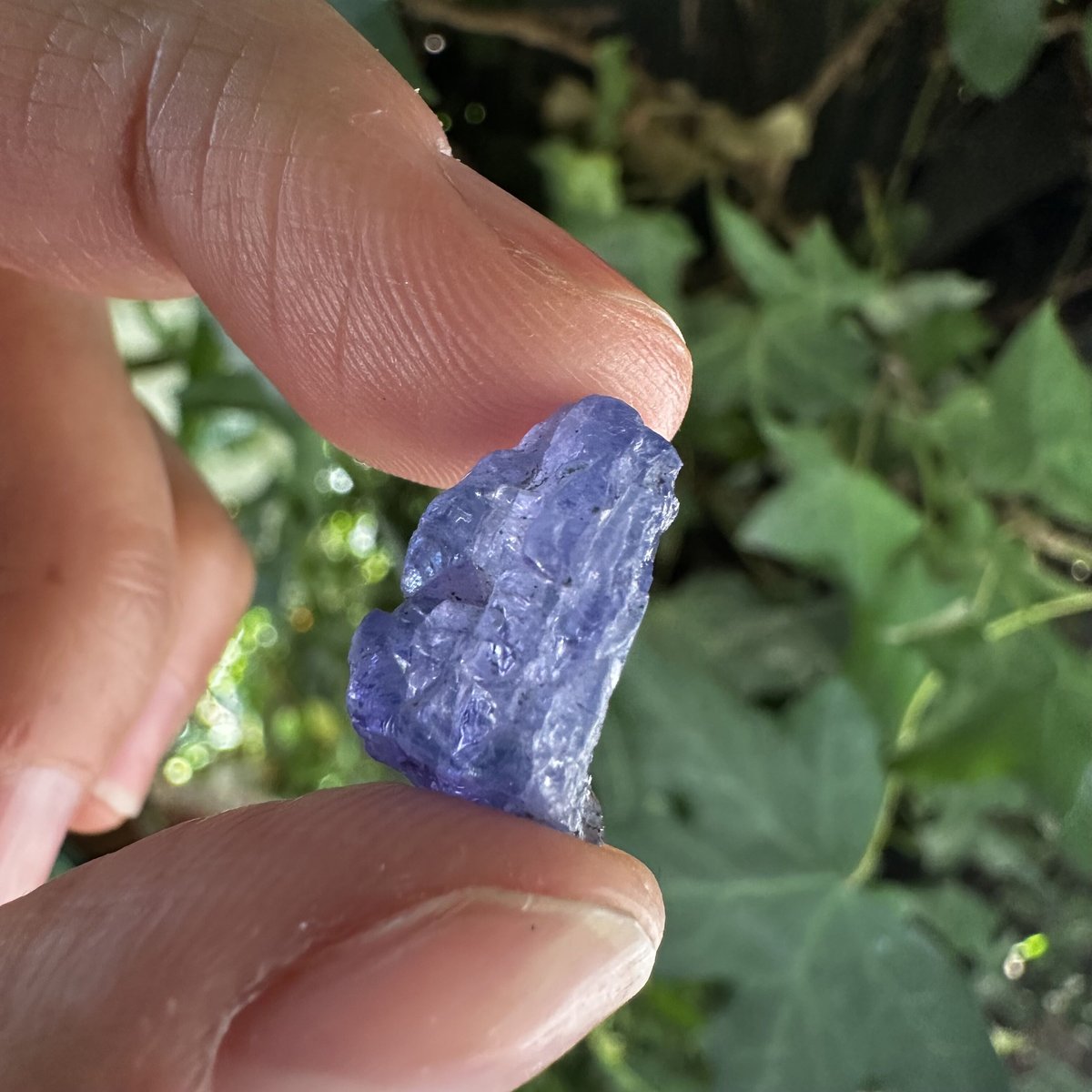 激レア　母岩付　タンザナイト　鉱物　鉱物標本　原石　tanzanite 激レア✨タンザナイト 母岩付き結晶原石 - メルカリ
