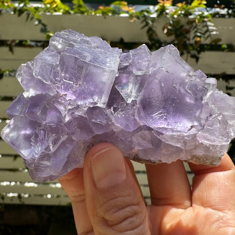 美品✨パープル 球状 フローライト on 水晶 クラスター 店長厳選】中国福建省産パープルフローライトクラスター（カル