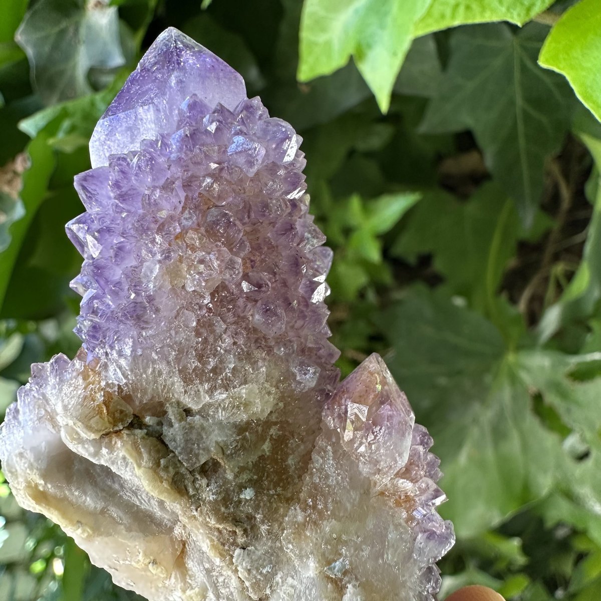 スピリットクォーツ（カクタスクォーツ）No. 1 | Native Stellar Alchemy