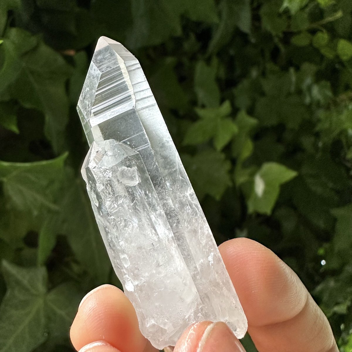 レムリアンシード クリスタル 天然水晶 レムリアンシードクリスタル 50石パック レムリアン