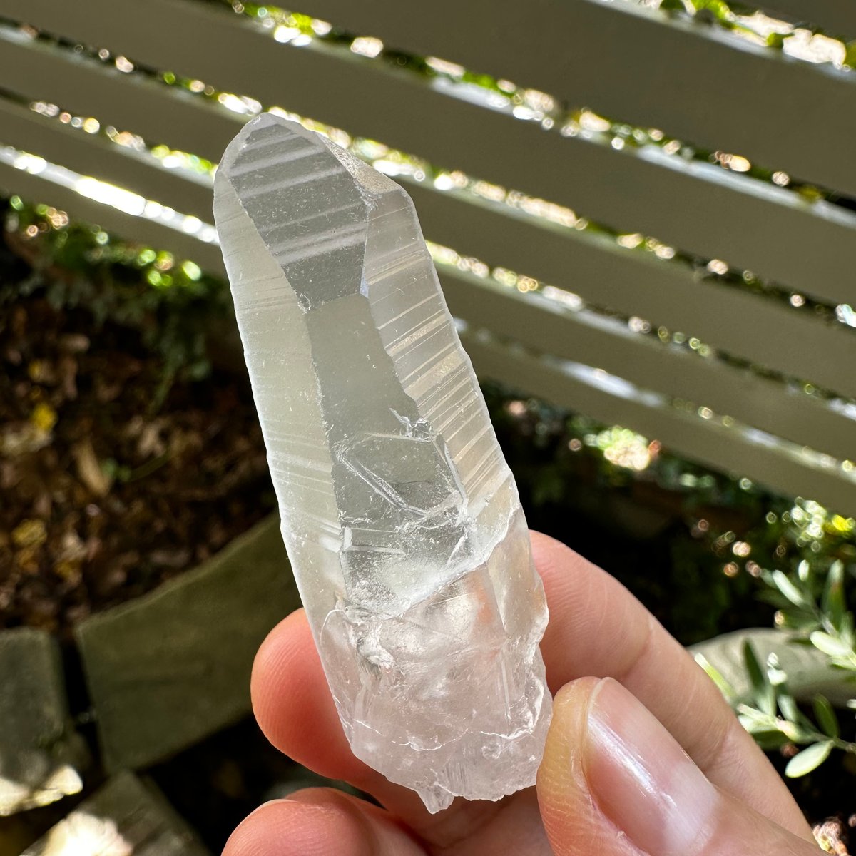 レムリアンシードクリスタル ポイントNo. A-9 | Native Stellar Alchemy